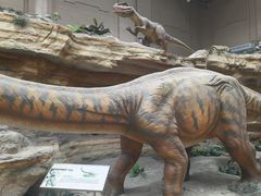 -国家自然博物馆