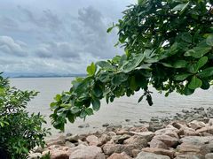-深圳湾公园(南山区)