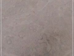 -椿记烧鹅(北门店)