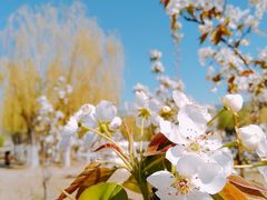 -中关村生命科学园
