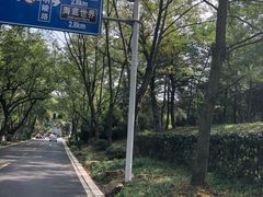 -鸡鸣赐茶(鸡鸣寺路店)
