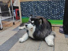 -龙湖重庆时代天街