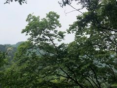 -凤栖山
