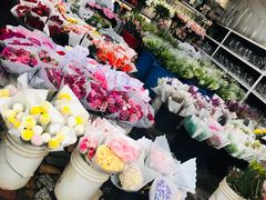 -秦美花卉(天朗·莱茵小城2期店)