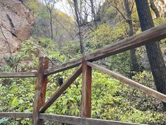 -大岭沟猕猴桃谷风景区