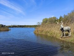 -溱湖国家湿地公园