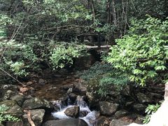-广州市流溪河国家森林公园