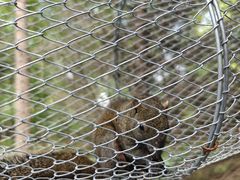 -中家鑫园温泉酒店鑫悦汤泉