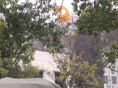 -湖南广播电视台娱乐频道