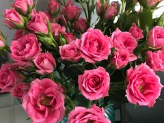 -IFC福州国际金融中心