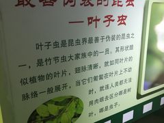 -上海昆虫博物馆
