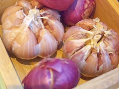 -沈阳奥林匹克体育中心