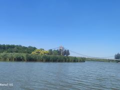 -西青郊野公园