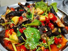 -最昭通一品黄牛小肉串(新迎店)