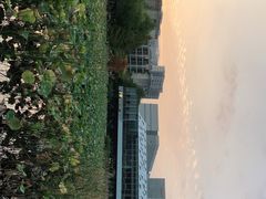 -3W咖啡(国家软件园店)