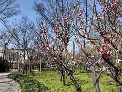 -新虹桥中心花园