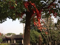 iphone_upload_pic-穹窿山景区