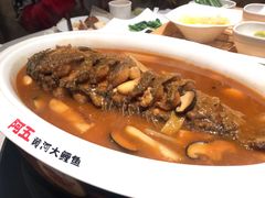 -阿五黄河大鲤鱼(英协路店)