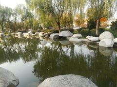 -西安青龙寺遗址景区