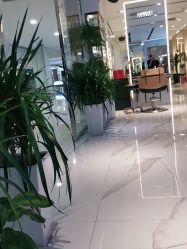 -罗亚帝造型·烫发染发