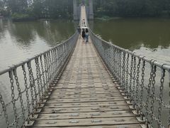 -东湖落雁景区
