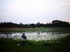 -三圣花乡旅游区