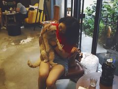 -咖法森林·咖啡  酒吧(天河店)