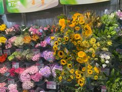 -盒马鲜生(岭南新世界店)