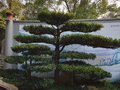 -房湖公园
