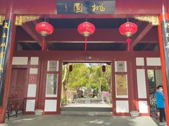 -南汇桃花村