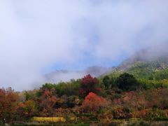 -塔川景区