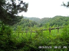 android_upload_pic-官滩沟风景区