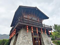 -大唐贡茶院