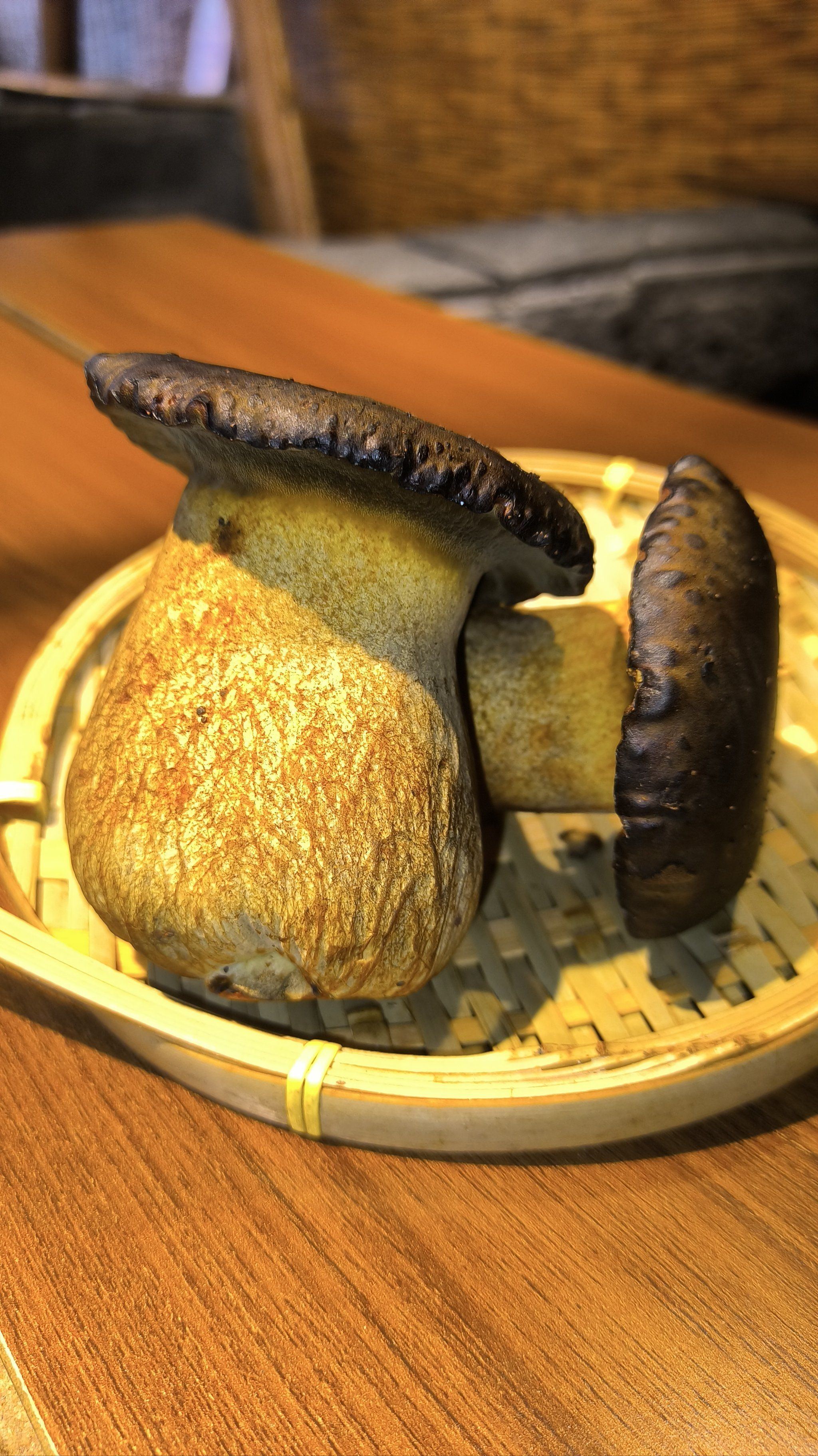 这个菌有没有毒?会不会见小人?