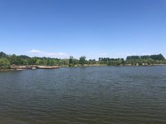 -东郊湿地公园