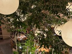-馋嘴猫北京食堂·烤鸭·宵夜(亚运村店)
