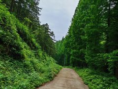 -东天目山风景区