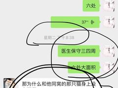 -飞行喵MR PILOT|猫舍·猫咖(静安大融城店)