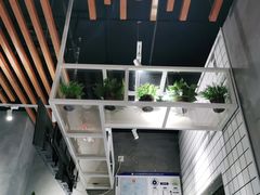 -素匠泰茶(三里屯SOHO工体奶茶店)