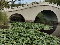 -二一九公园