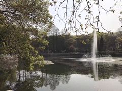 -武汉大学-樱园