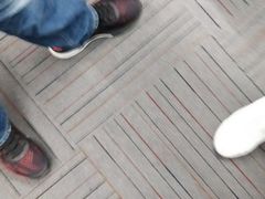 马兰头馄饨-兴农记