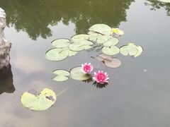 -迎泽公园