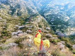 -鸡鸣山旅游风景区