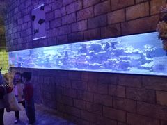 -zoonana室内动物园(东方福来德店)