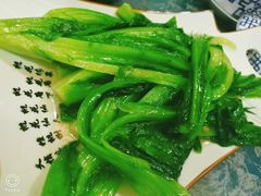 油麦菜-老白驼退骨特色美食