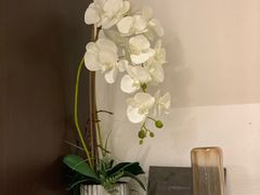 -Dragonfly悠庭·按摩Spa(静安嘉里中心店)