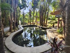 -罗浮山嘉宝田森林温泉度假酒店