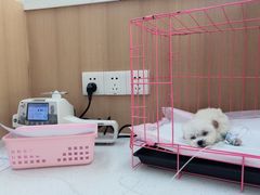 -联合动物医院(光谷诊疗中心)