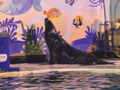 -太平洋海底世界